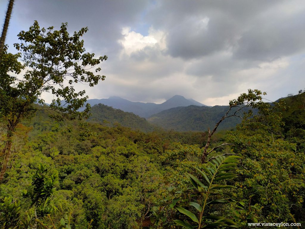 Sripadha Mountain - Welcome To Vista Ceylon