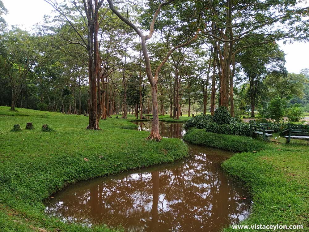 Seethawaka Botanical garden