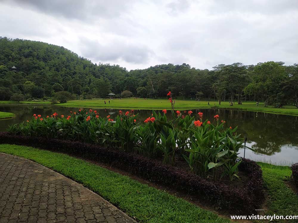 Seethawaka Botanical garden